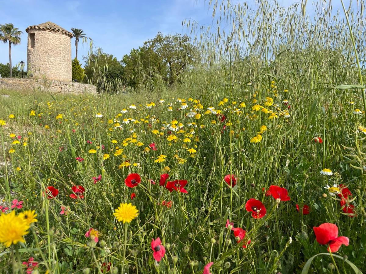 Finca Son Manera Montuiri  Εξωτερικό φωτογραφία